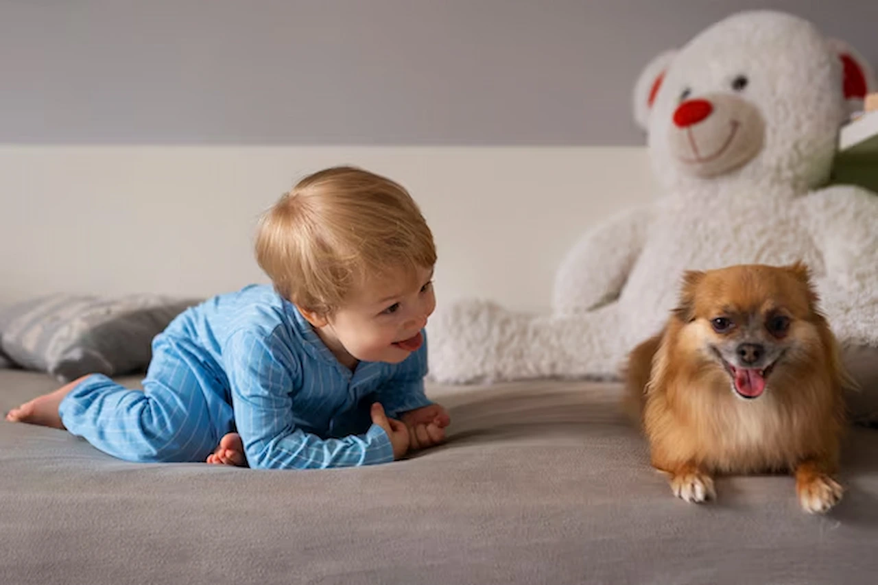 En muchos países la cantidad de perros supera al número de niños. Bebé juega con un perro / Foto: FP