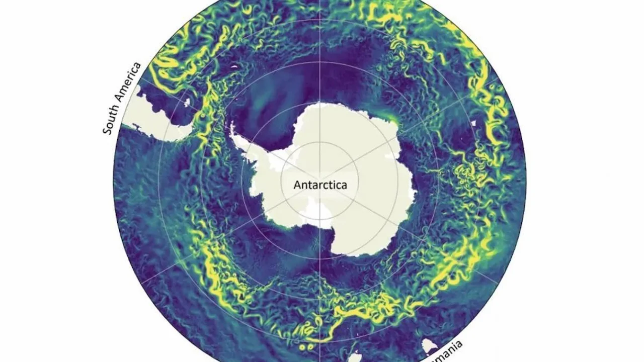 La Corriente Circumpolar Antártica podría desacelerarse para 2050 / Imagen: Melbourne University