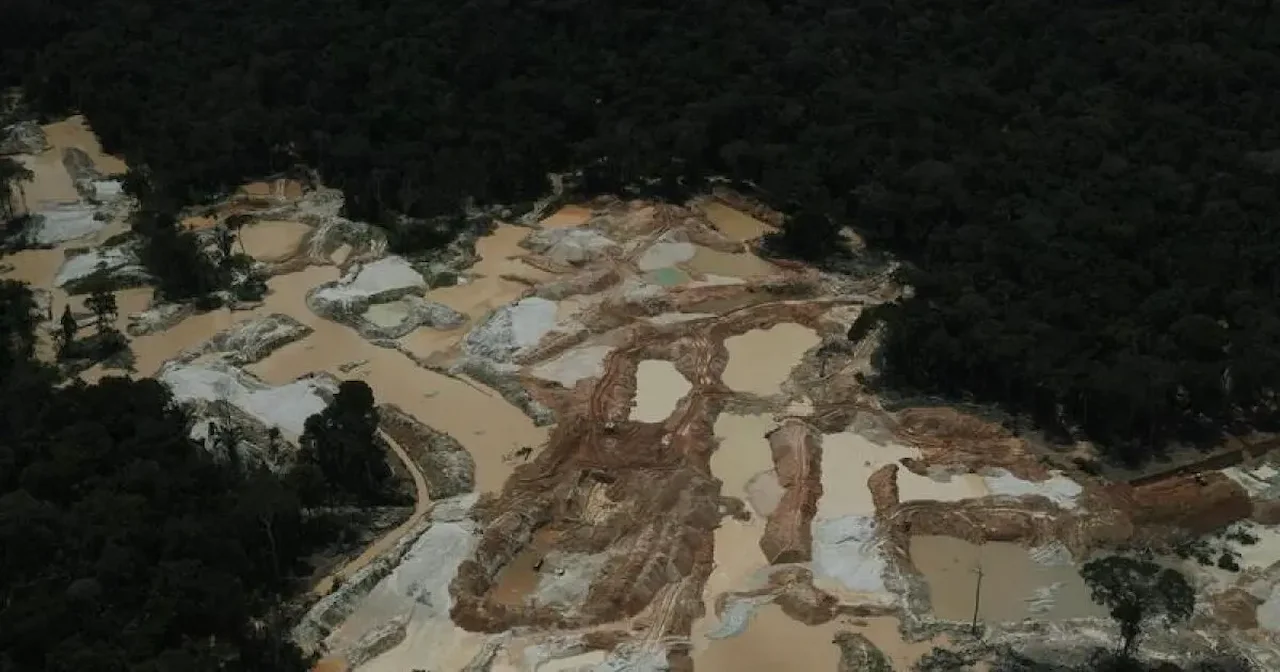 La minería ilegal de oro en la Amazonía / Foto: Greenpeace