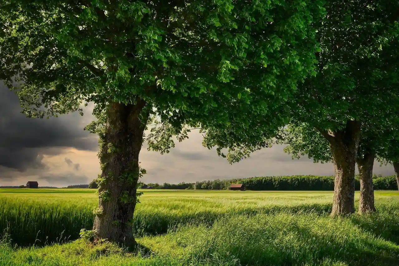 Imagen de principios de la ecología moderna / Foto: PB