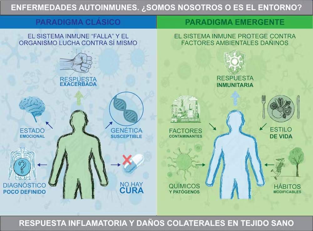 Paradigma clásico y paradigma emergente de las enfermedades autoinmunes. Paradigma clásico y paradigma emergente de las enfermedades autoinmunes.