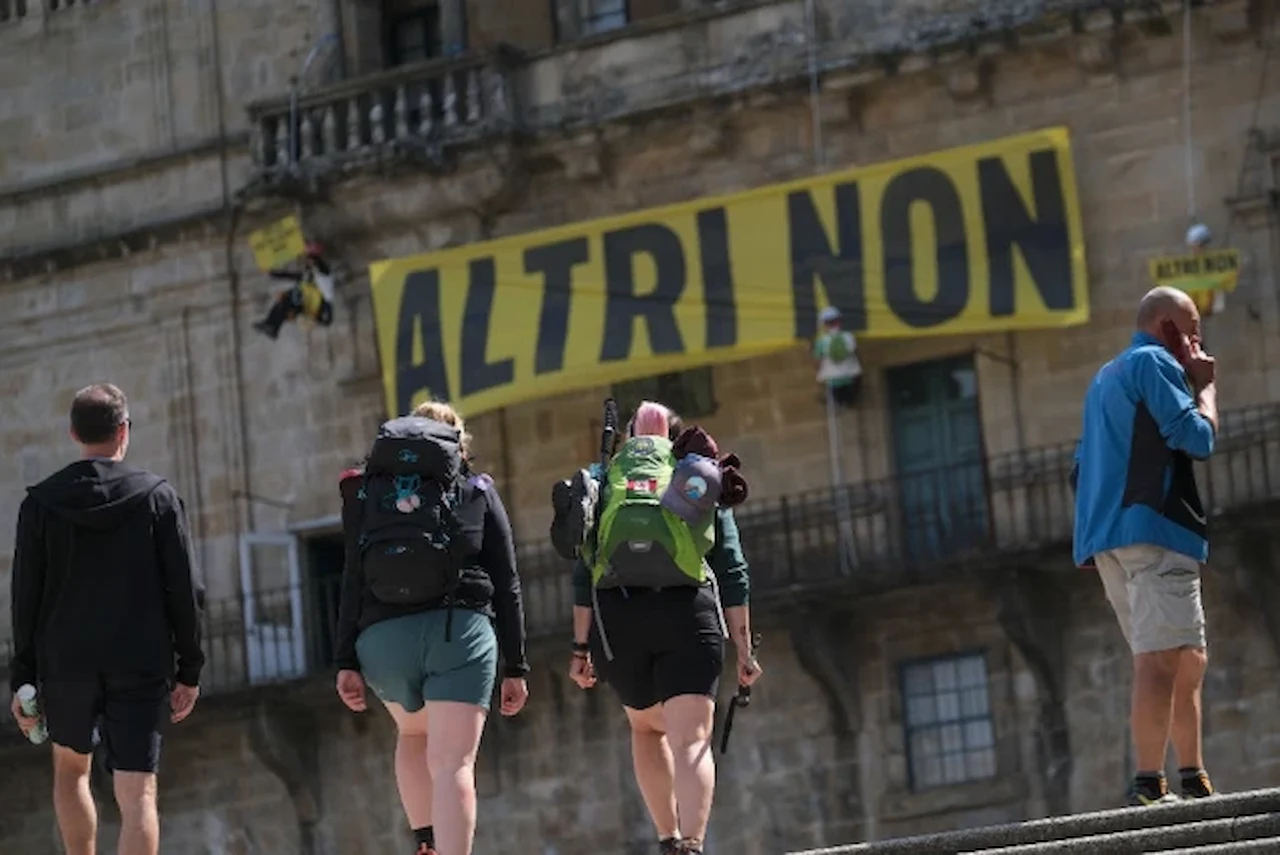 El Gobierno deje a Altri fuera del PERTE / Foto: Greenpeace