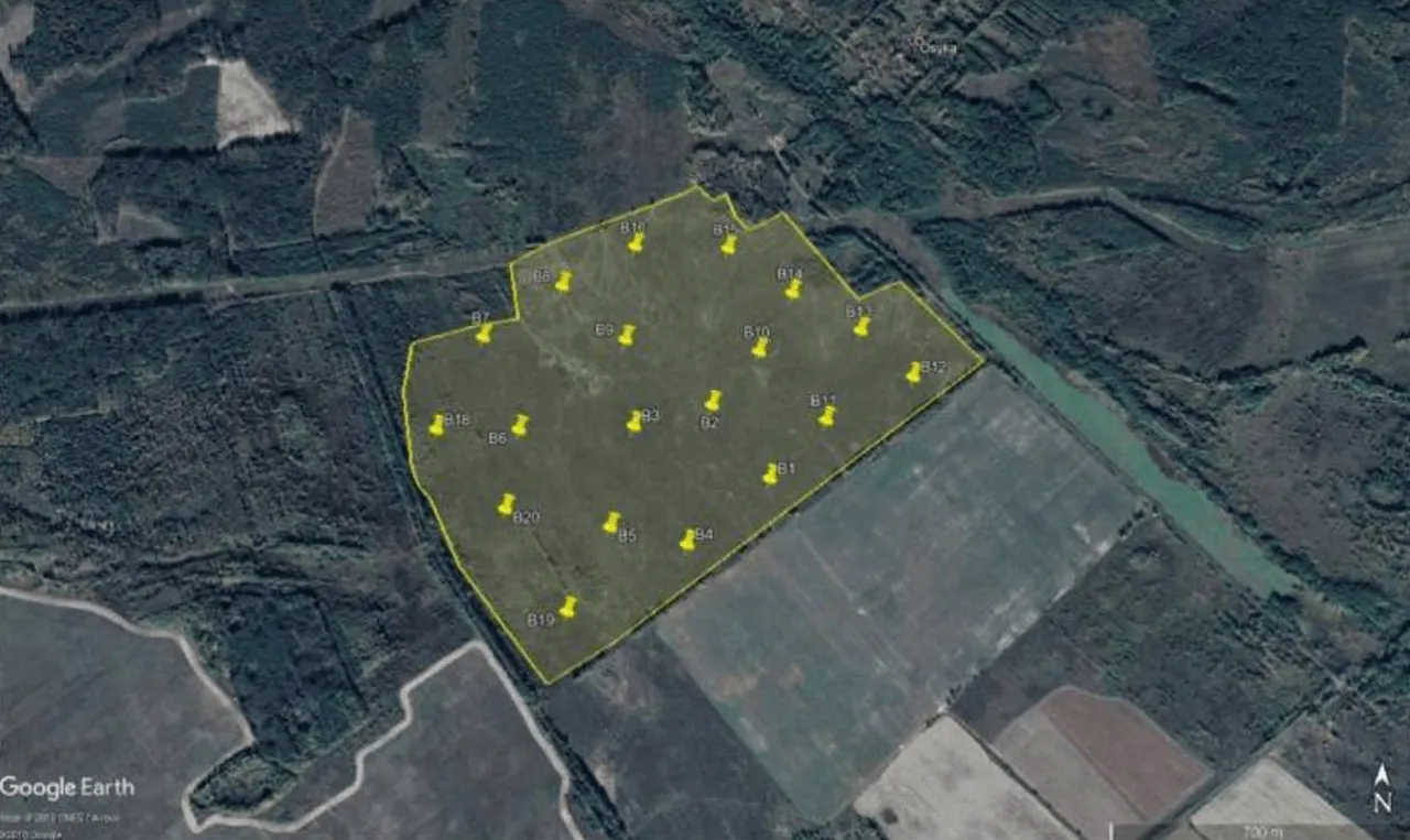 Ubicación de los puntos de muestreo de suelo en el campo de pruebas de Mezhiliska (imagen de Google Earth) ¿Cultivos cerca de Chernóbil? / Imagen: EP