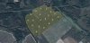 Ubicación de los puntos de muestreo de suelo en el campo de pruebas de Mezhiliska (imagen de Google Earth) ¿Cultivos cerca de Chernóbil? / Imagen: EP