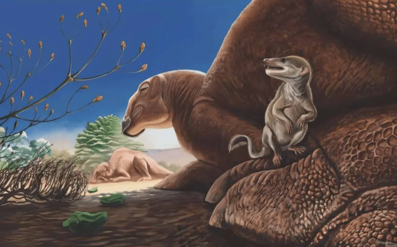 Reconstrucción en vida del nuevo fósil que revela un pequeño mamífero de la Formación Baynshire, Mongolia, con Ravjaa ishiii  en primer plano, representada al pie del dinosaurio hadrosáurido Gobihadros / Imagen: EP