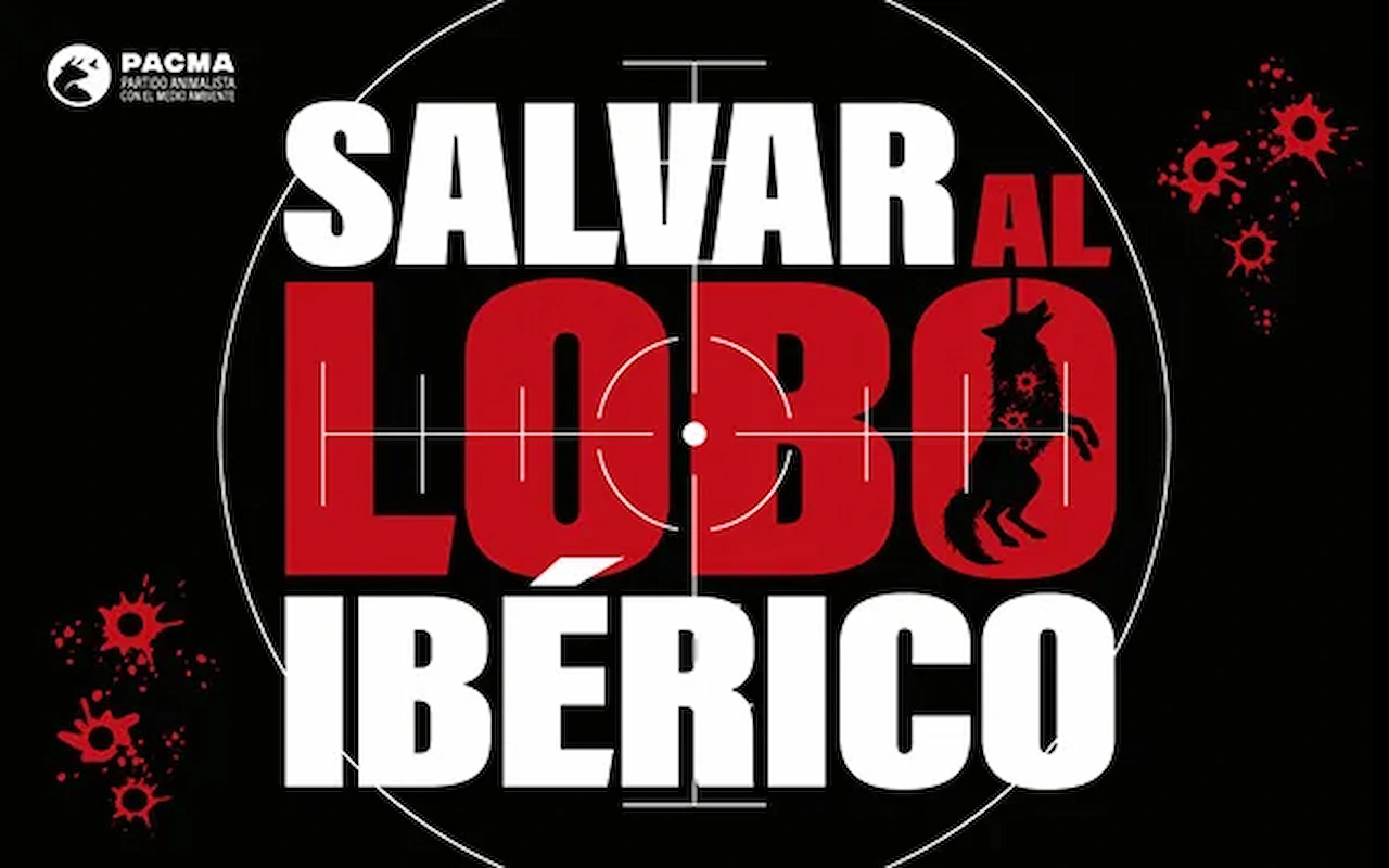 PACMA exige la protección del lobo / Imagen: PACMA