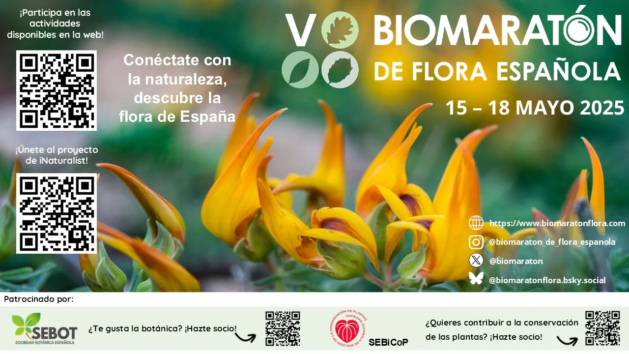 El Biomaratón de Flora Española