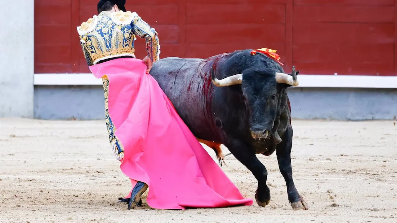 Más Madrid que pide que "dejen de torturar animales"