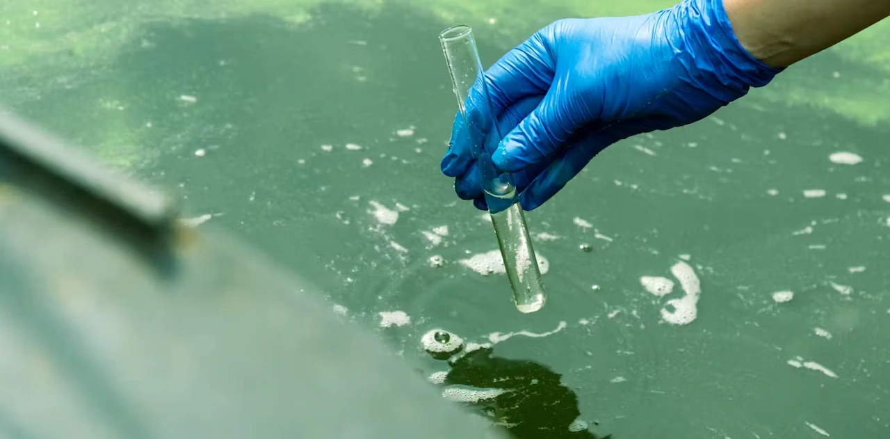 Contaminación invisible, pero persistente de los medicamentos en el agua / Foto: The Conversation
