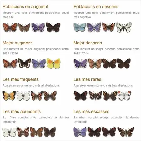 Seguimiento de las mariposas 2024 Seguimiento de las mariposas 2024