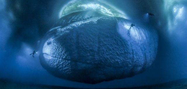 La parte sumergida de un enorme iceberg a la deriva en el Îlot de la Vierge, en las costas antárticas / Foto: Laurent Ballesta - Wildlife Photographer of the Year
