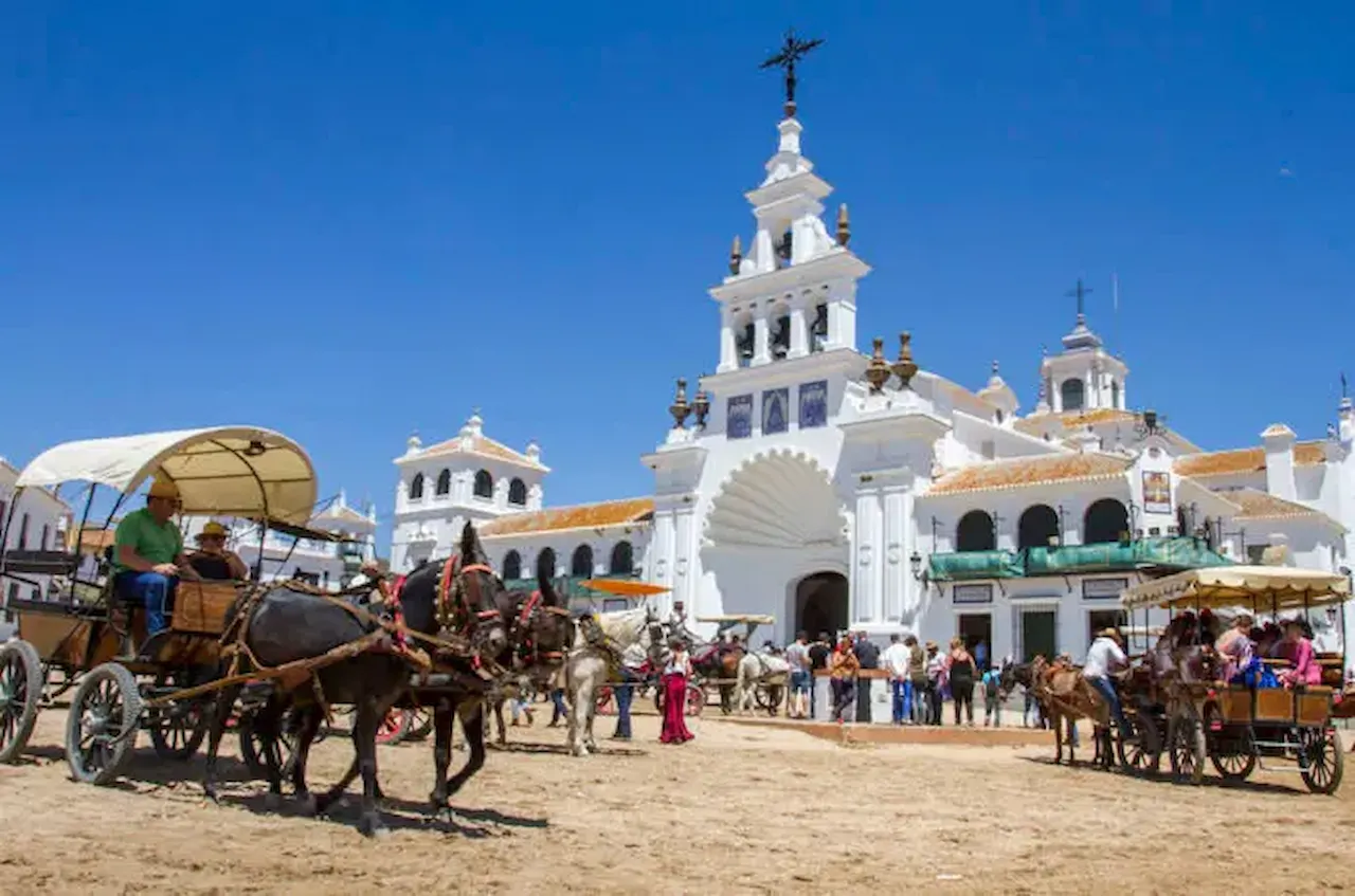 ¿Cuántos animales mueren durante la Romería de El Rocio? / Foto: EP