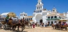 ¿Cuántos animales mueren durante la Romería de El Rocio? / Foto: EP