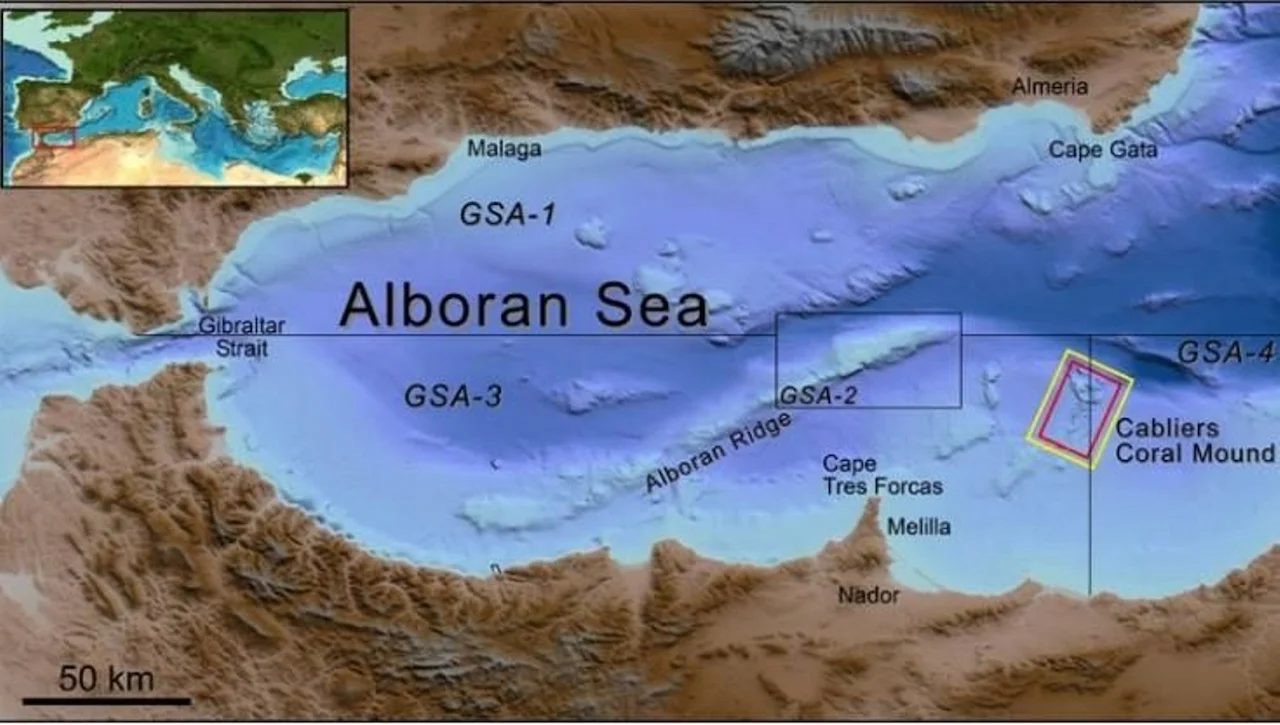 Veda a la pesca comercial y recreativa para proteger los montes coralinos de Cabliers / Imagen: Oceana Europe
