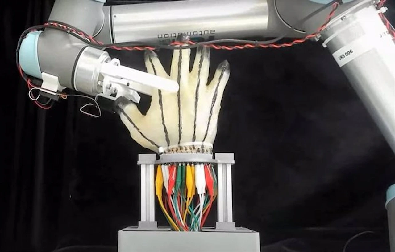 Ensayos con la nueva piel robótica con un tacto casi humano. Los robots ya pueden sentir dolor / Foto: Universidad de Cambridg