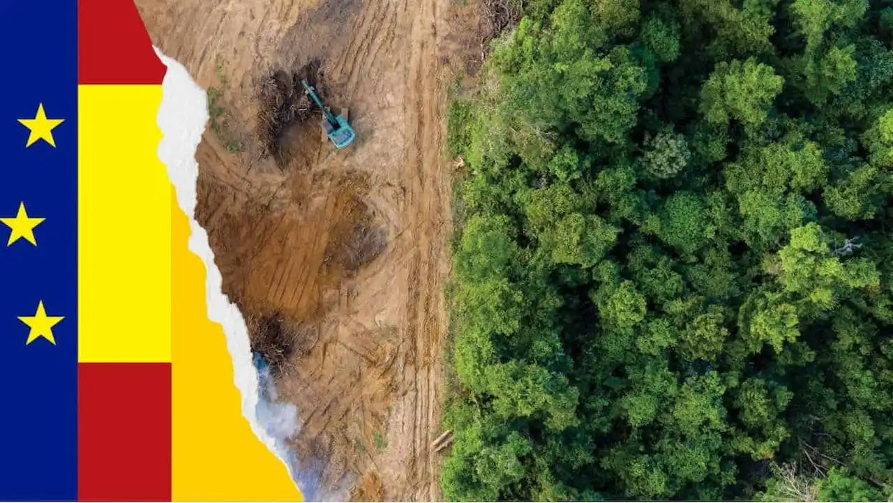 Ley europea contra la deforestacion importada / Imagen: Ecologistas en Acción