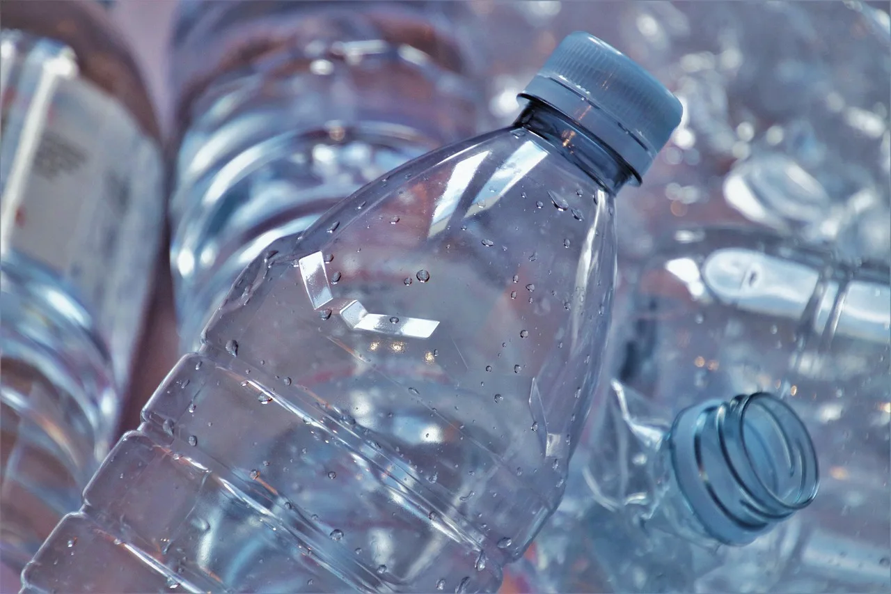 La bacteria 'E.coli' convierte botellas de plástico en paracetamol / Foto: PB