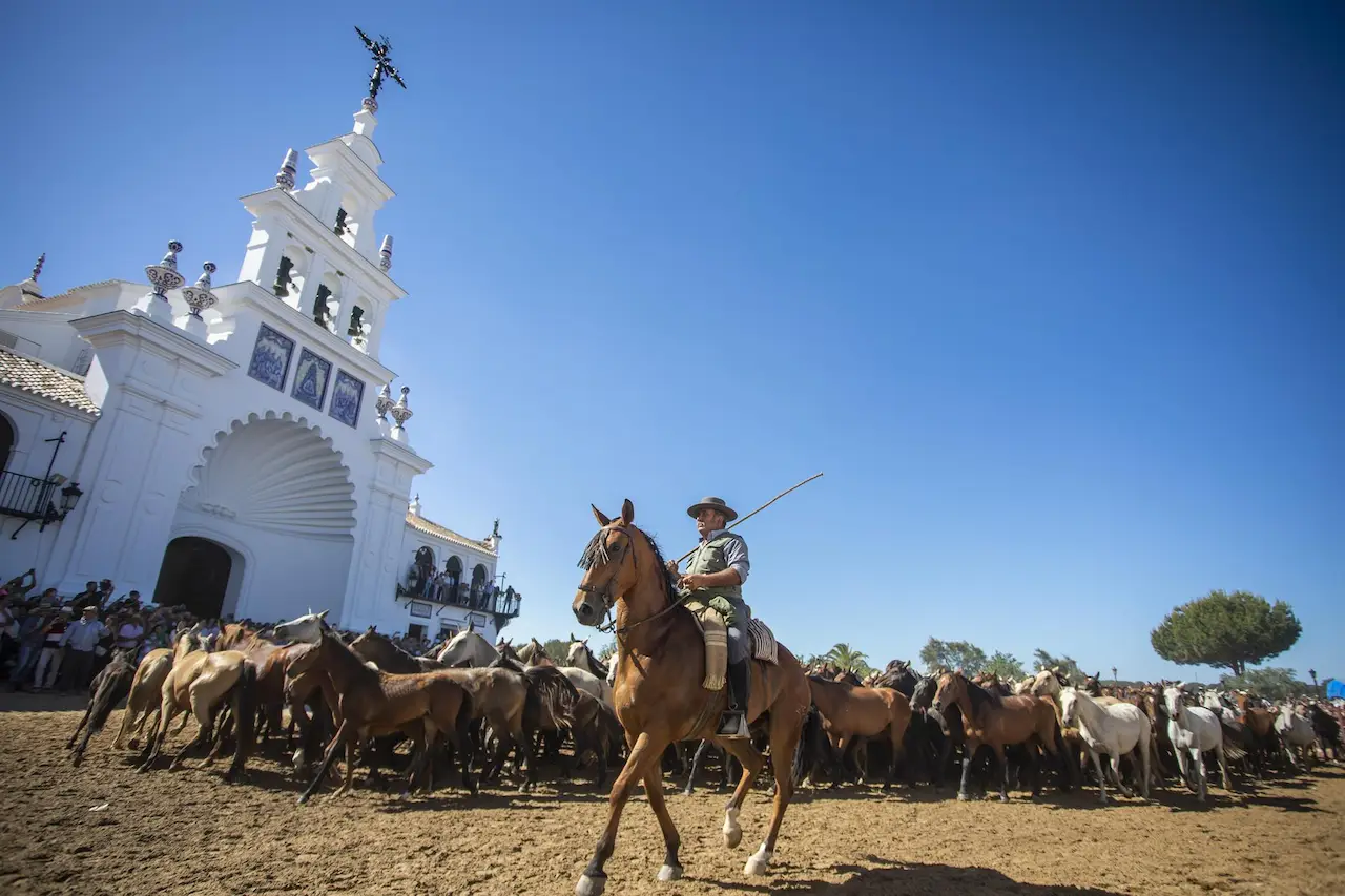 La tradicional Saca de las Yeguas de Doñana a su paso por la aldea de El Rocío / Foto: EP