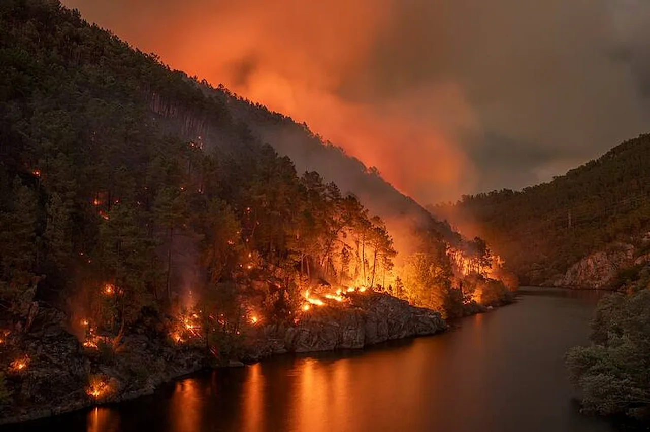 Incendios de sexta generación generan su propia meteorología. Incendio Ribadavia 2022 / Foto: WWF