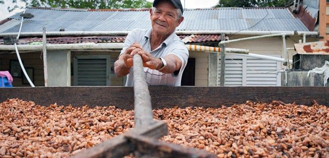 Un agricultor seca cacao en la República Dominicana / Foto: Intermón-Oxfam