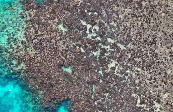Blanquamiento de corales de la Gran Barrera australiana. Imagen captada por dron / Foto: Karen Joyce