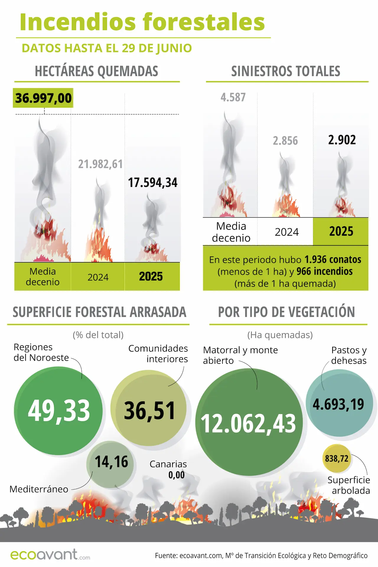 Incendios forestales en España en datos hasta el 29 de junio de 2025 / Infografía: EA Incendios forestales en España en datos hasta el 29 de junio de 2025 / Infografía: EA