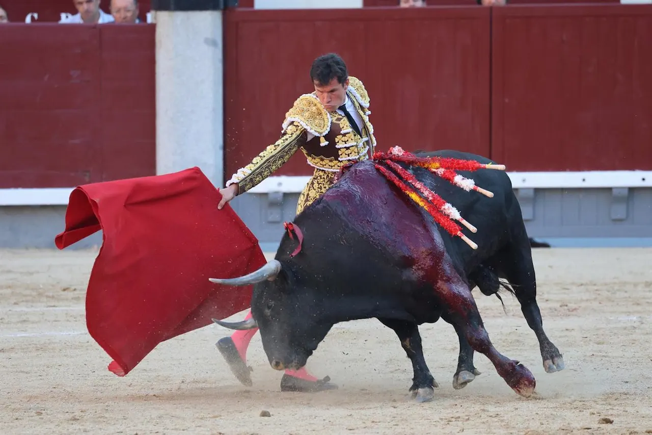 Nuevo reglamento madrileño de espectáculos taurinos. El torero Daniel Luque durante la corrida en Las Ventas, a 25 de mayo de 2024 / Foto: EP