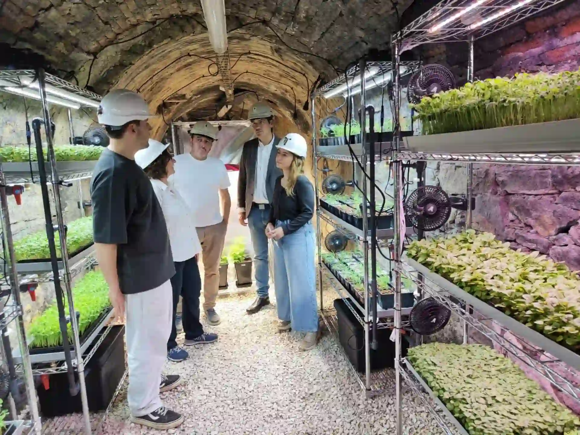 El primer invernadero subterráneo del país en la bocamina del Pozo Carrio / Foto: EP