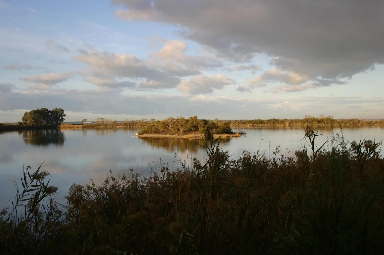 El 85 % de los humedales españoles presenta un estado de conservación degradado. España incumple sus compromisos con Ramsar / Foto: SEO/BirdLife