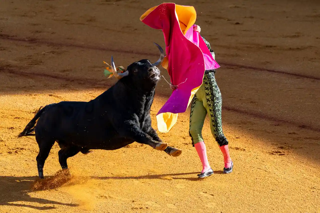 La promoción de corridas de toros dirigida a menores causa preocupación / Foto: UP