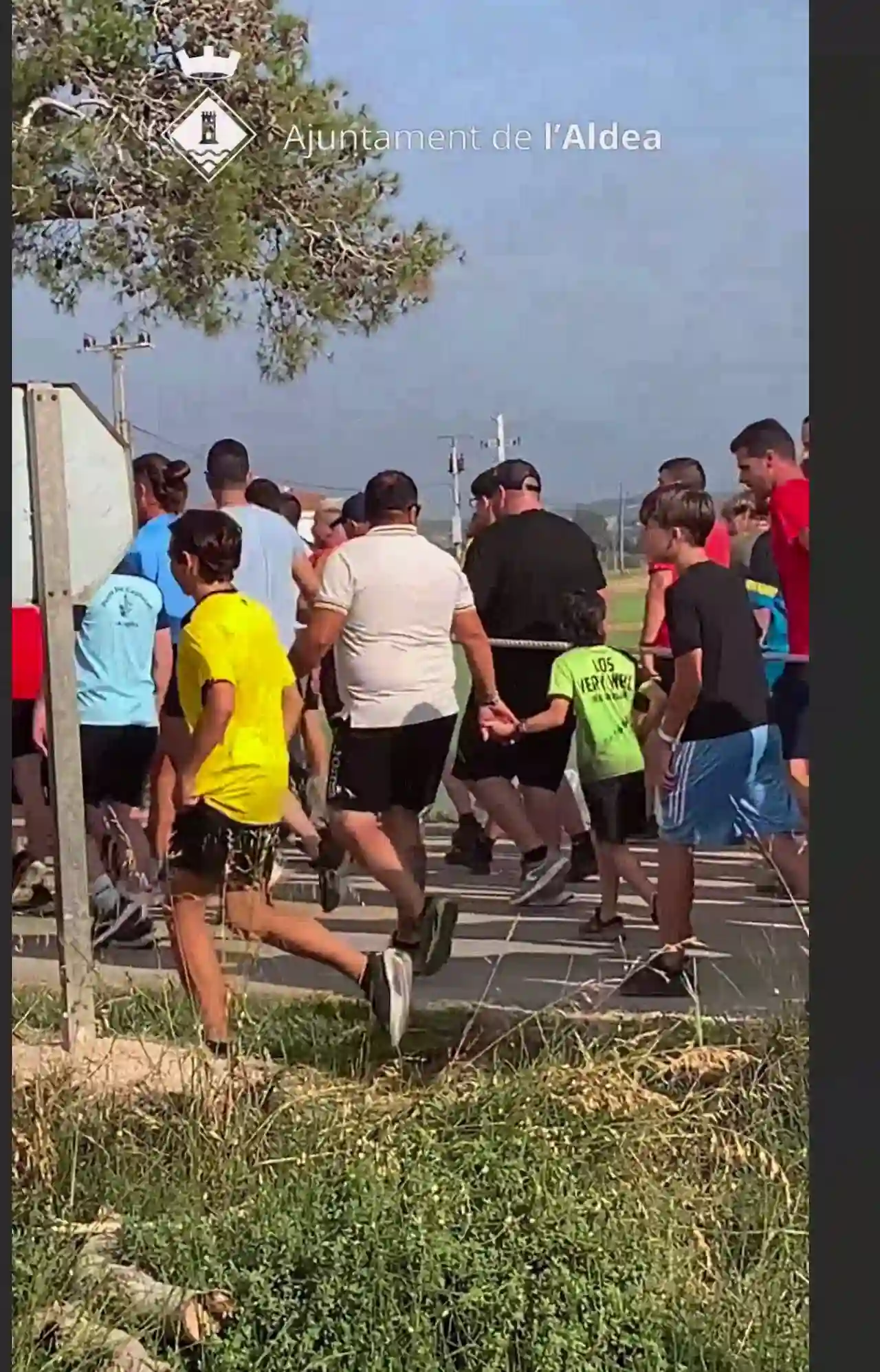 Diversos menores participan en el 'correbous' en L'Aldea (Tarragona) / Foto: AnimaNaturales