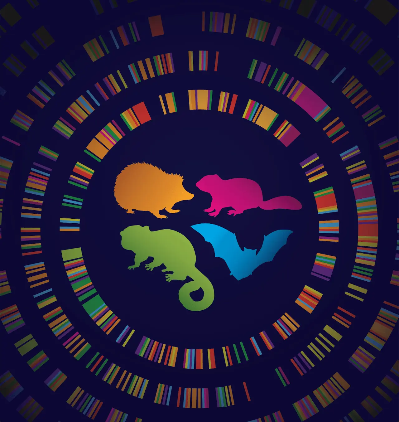 Los secretos de la resiliencia de los animales que hibernan / Imagen: Chrissy Richards