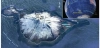 Ubicación y relieve de la isla Heard, la  más remota de la Tierra / Foto: The Cryosphere