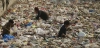 Tratado Mundial Contra los Plásticos / Foto: Agencias