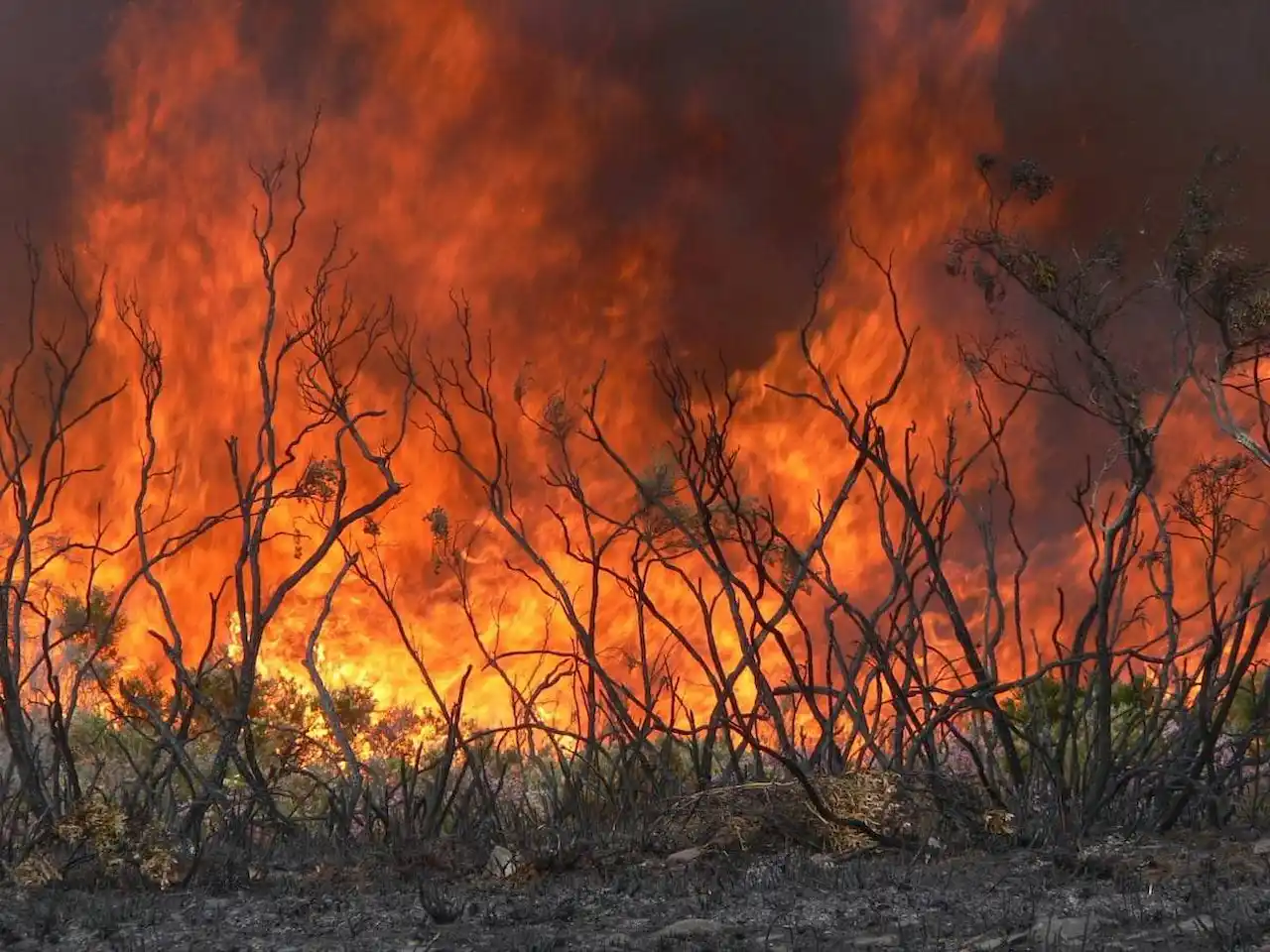 Declarada la fase de preemergencia ante los numerosos incendios en España / Foto: US