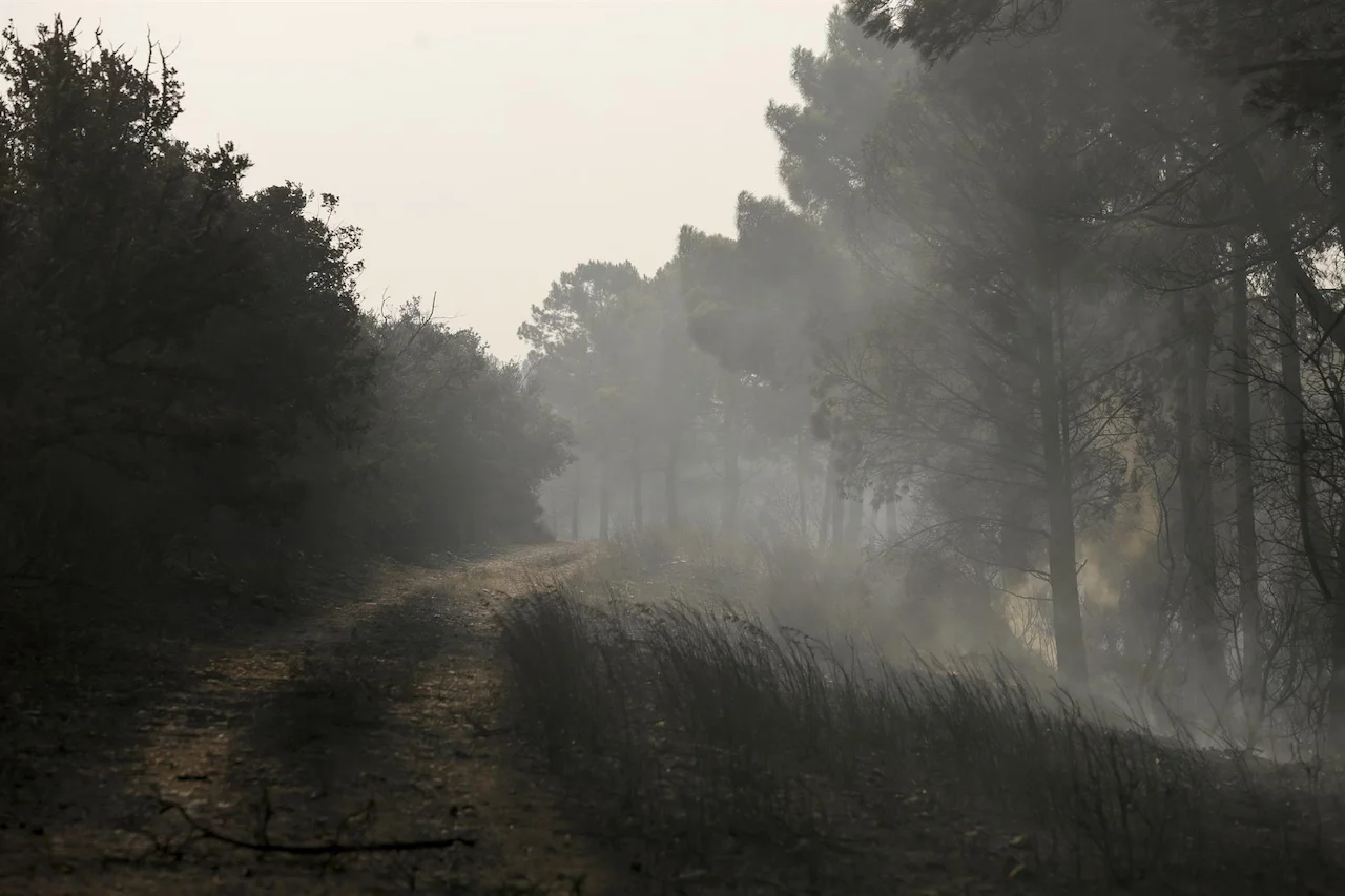 Tierra quemada tras un incendio en un monte entre Villalís de la Valduerna y Quintana y Congosto, a 13 de agosto de 2025, en León, Castilla y León, España / Foto: EP
