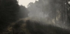 Tierra quemada tras un incendio en un monte entre Villalís de la Valduerna y Quintana y Congosto, a 13 de agosto de 2025, en León, Castilla y León, España / Foto: EP