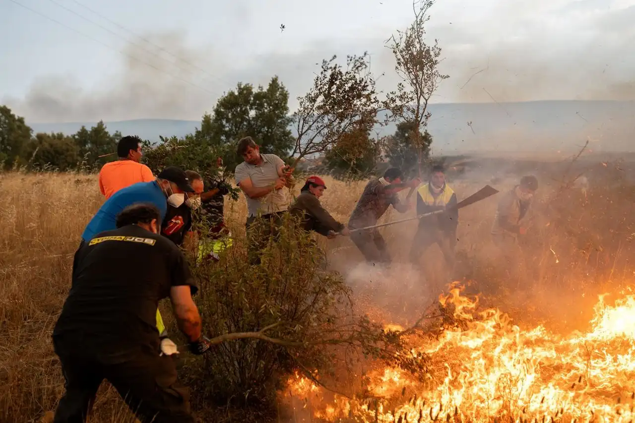 Los incendios "no dan tregua". Varias personas tratan de apagar el fuego, a 12 de agosto de 2025, en Abejera, Zamora, Castilla y León (España) / Foto: Emilio Fraile-EP