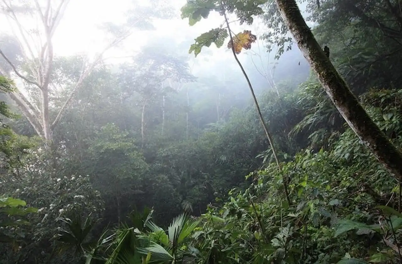 Rompiendo los límites planetarios. Biosfera en peligro / Foto: EP