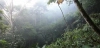 Rompiendo los límites planetarios. Biosfera en peligro / Foto: EP