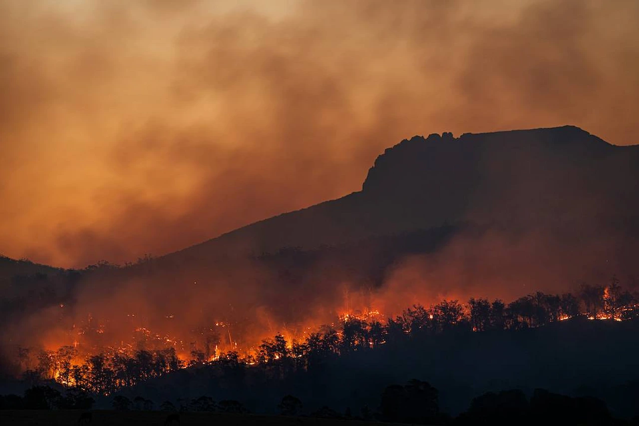 Los incendios en España disparan las emisiones de carbono / Foto: UP