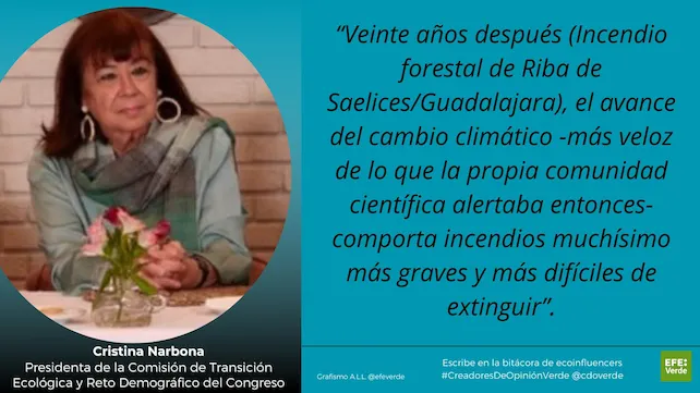 Cristina Narbona Incendios forestales en cdoverde 4 Cristina Narbona Incendios forestales en cdoverde 4