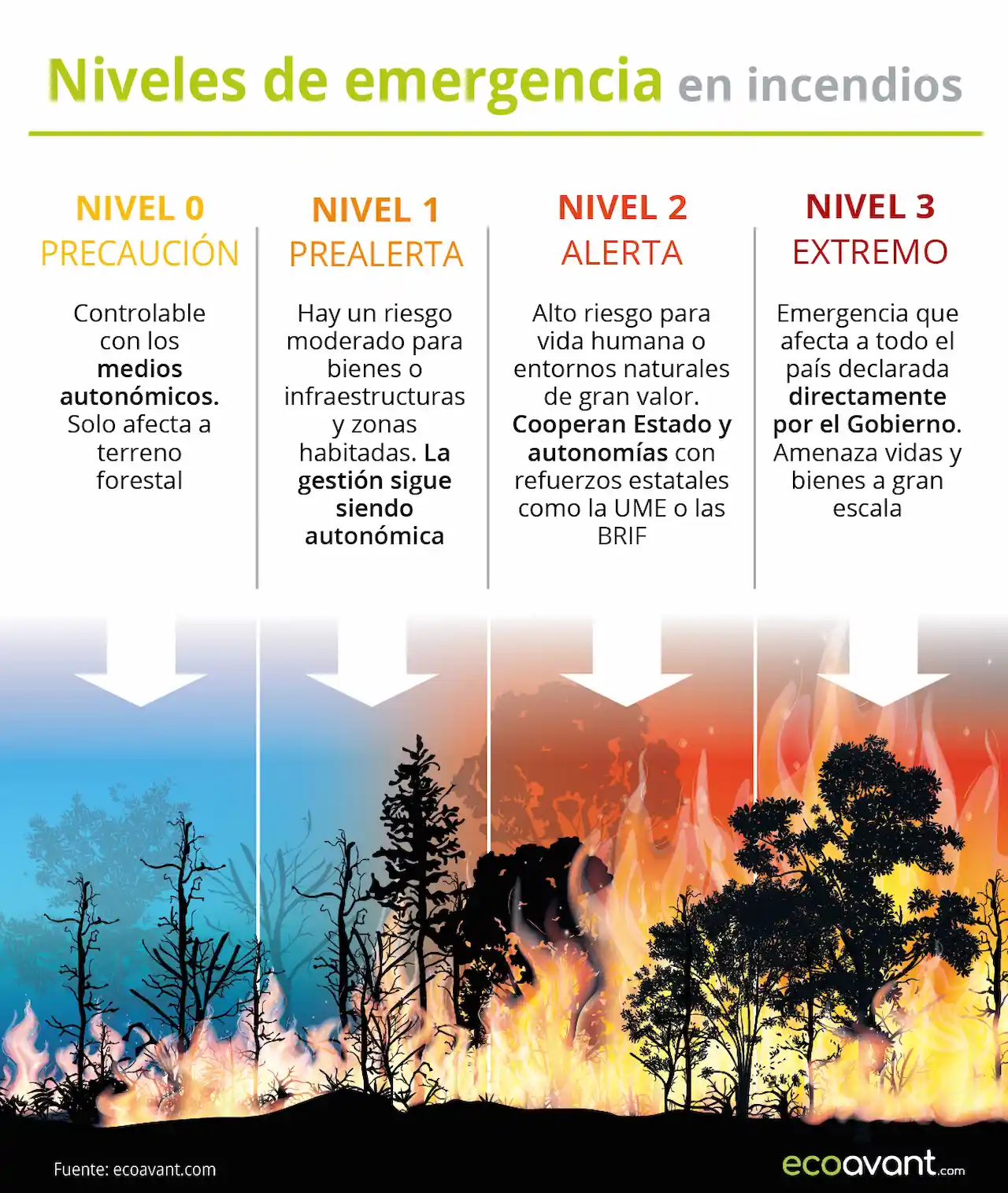 Clasificación de los niveles de emergencia en incendios y las medidas que activa cada uno / Infografía: EA