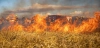 El 92 % de los grandes incendios serán más virulentos / Foto: PB