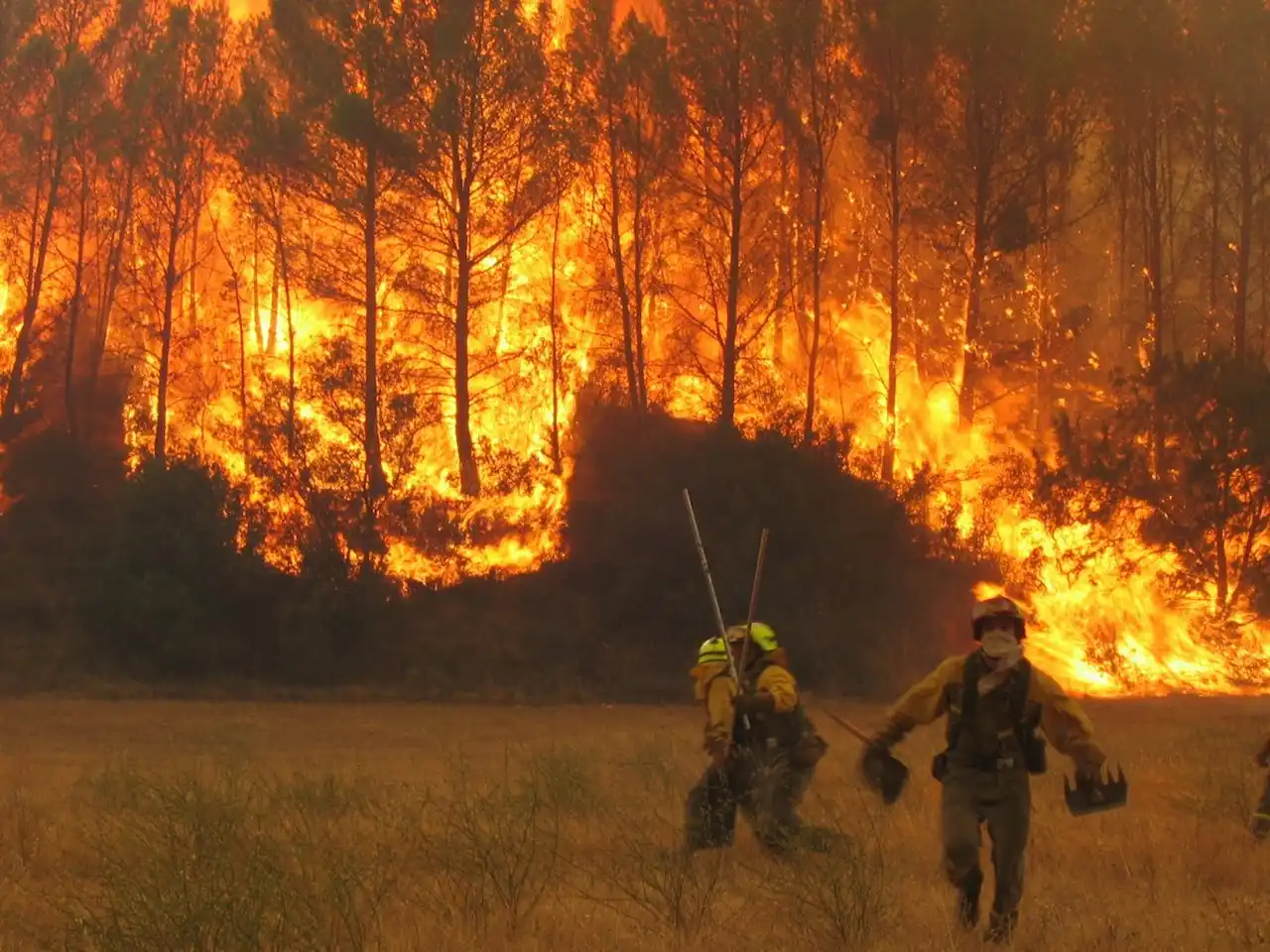 Incendios que ya no se pueden apagar. Gestionar el territorio / Foto: EP
