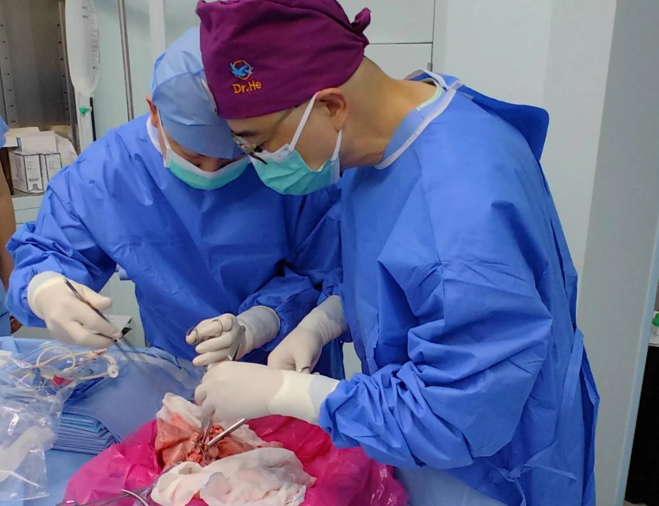 Equipo chinés ha logrado trasplantar un pulmón de cerdo a un ser humano. Xenotrasplante / Foto: Nature Medicine