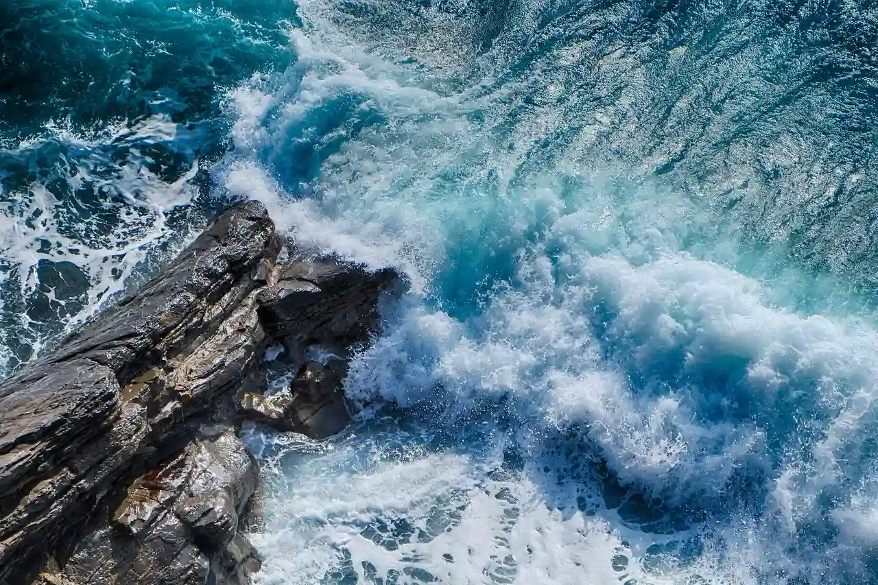 Los océanos son vitales para la vida y enfrentan amenazas como contaminación y sobrepesca: Foto: PB