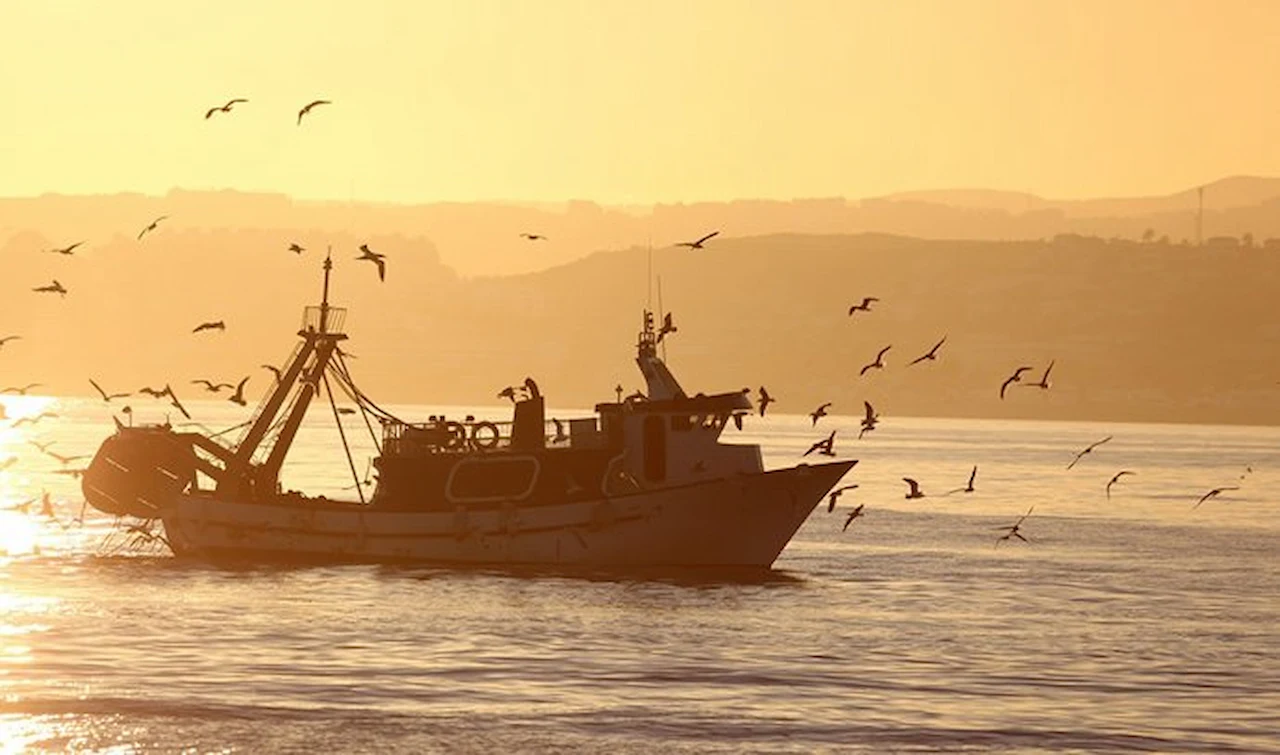 Barco faenando al amanecer. Bacalao / Foto: Junta de Andalucía