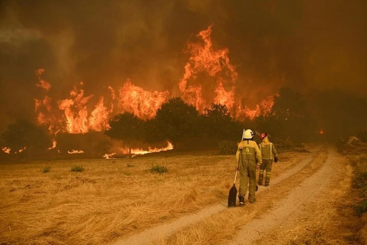 Greenpeace insta a la acción por un Pacto de Estado por la emergencia climática / Foto: Greenpeace