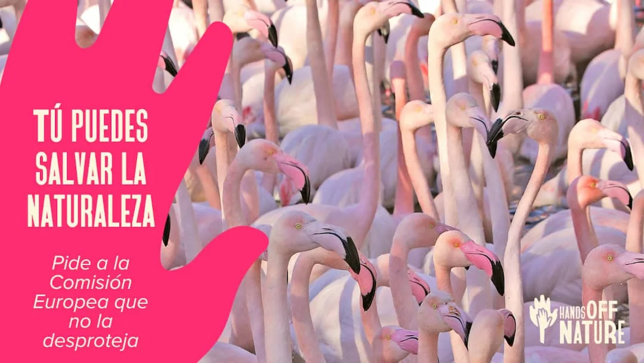 #handsoffnature 'Quita las manos de la naturaleza'